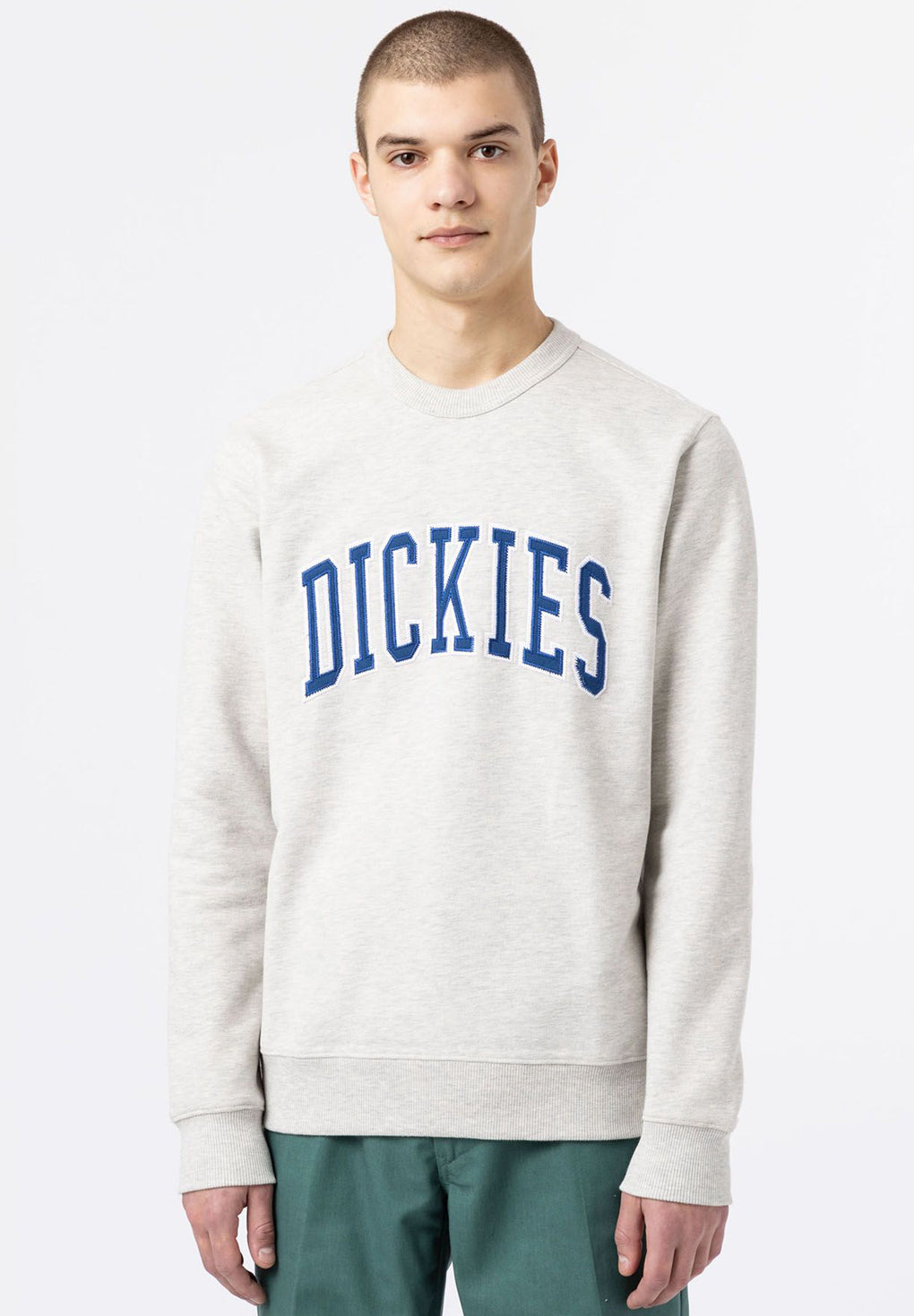 Dickies Aitkin Sweatshirt