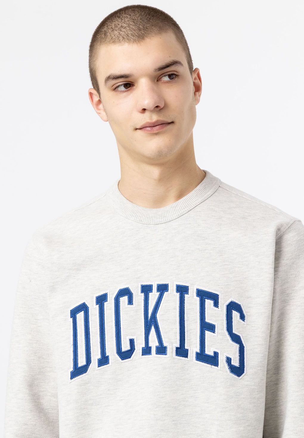 Dickies Aitkin Sweatshirt