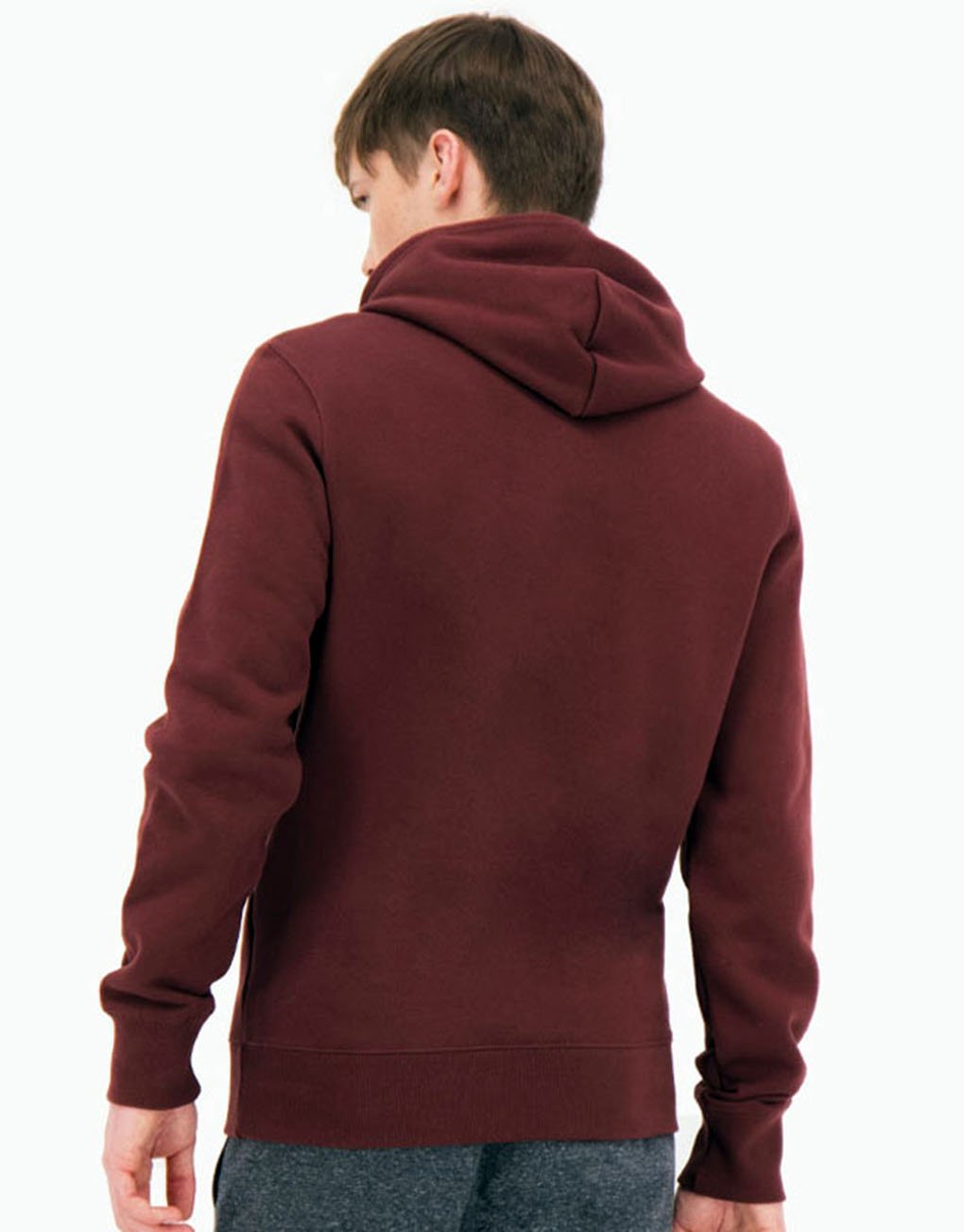Champion Script Logo Cotton Terry Hoodie Rabat