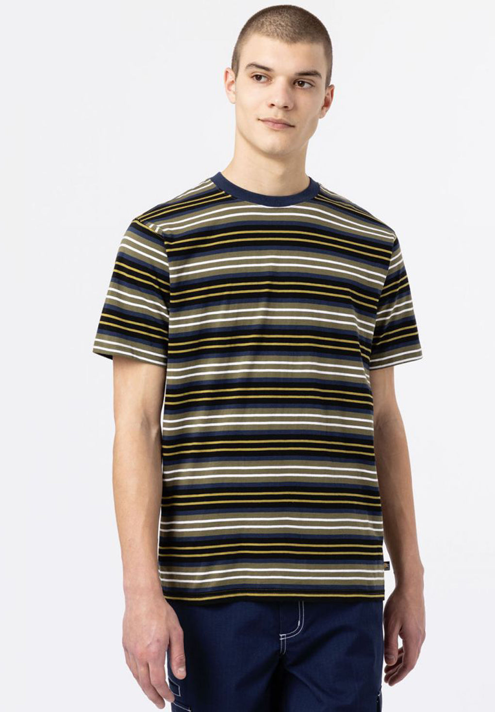 Dickies Bothell Stripe T-Shirt Online nu