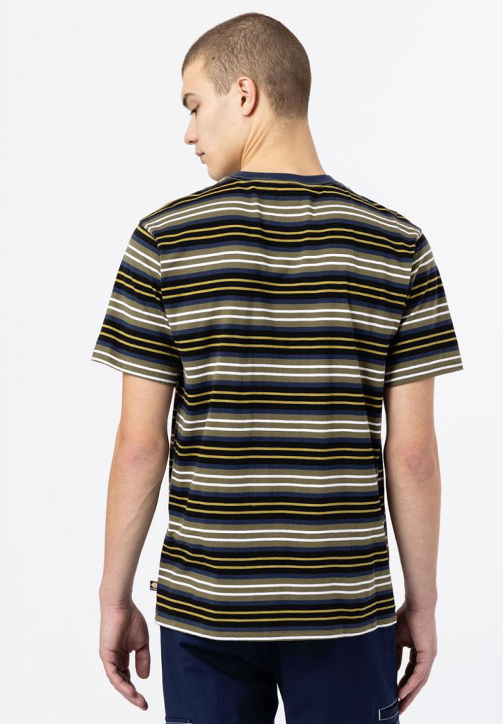 Dickies Bothell Stripe T-Shirt Online nu