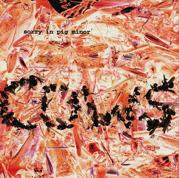 Cows – Sorry In Pig Minor
