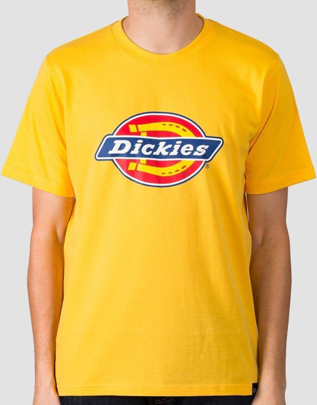 Dickies Horseshoe T-Shirt