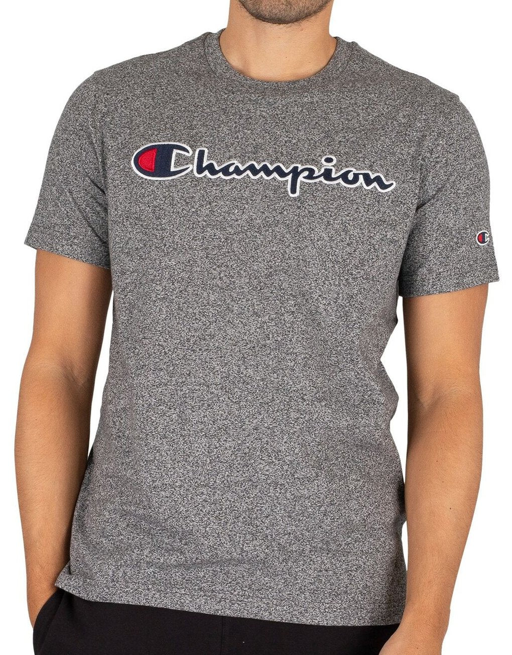 Champion Satin Stitch Script Logo T-Shirt