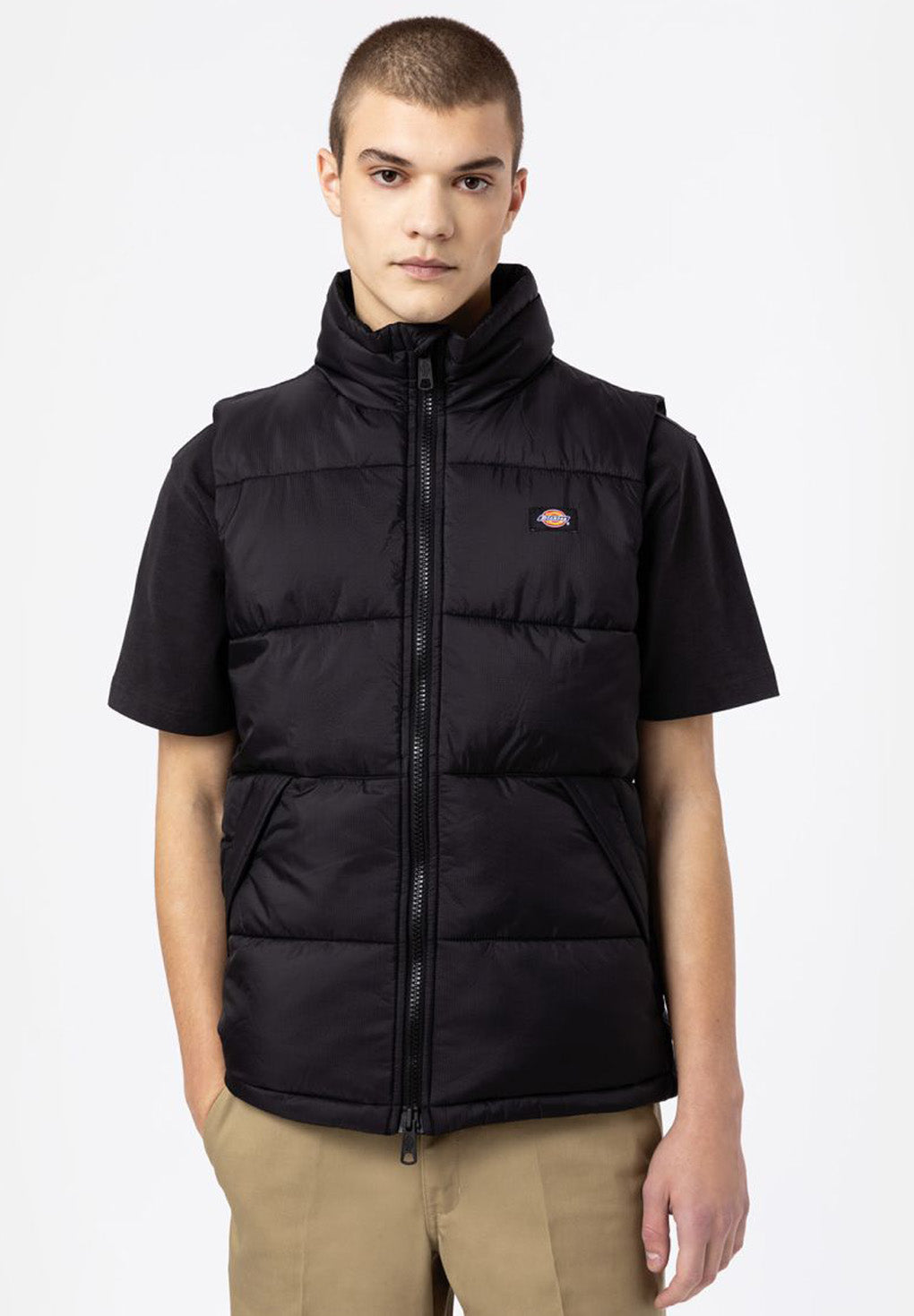 Dickies Waldenburg Vest
