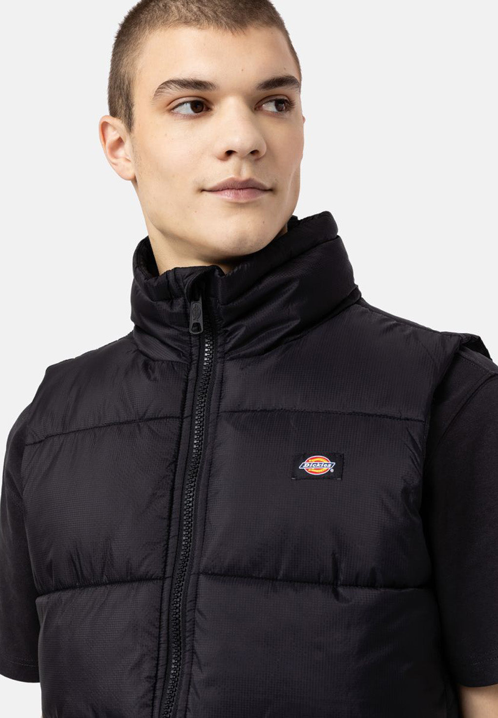 Dickies Waldenburg Vest