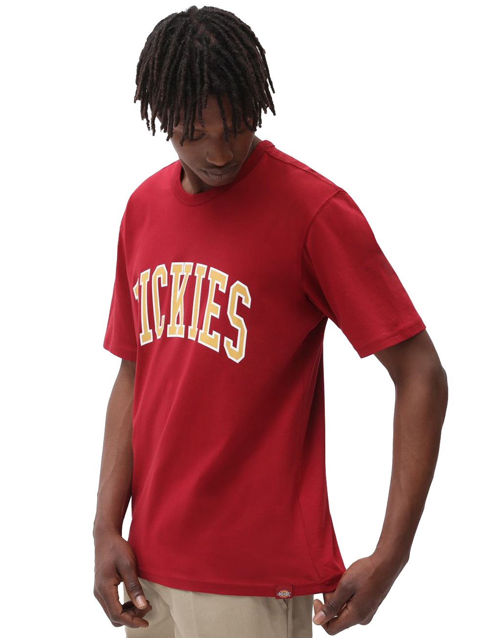 Dickies Aitkin T-Shirt Rabat