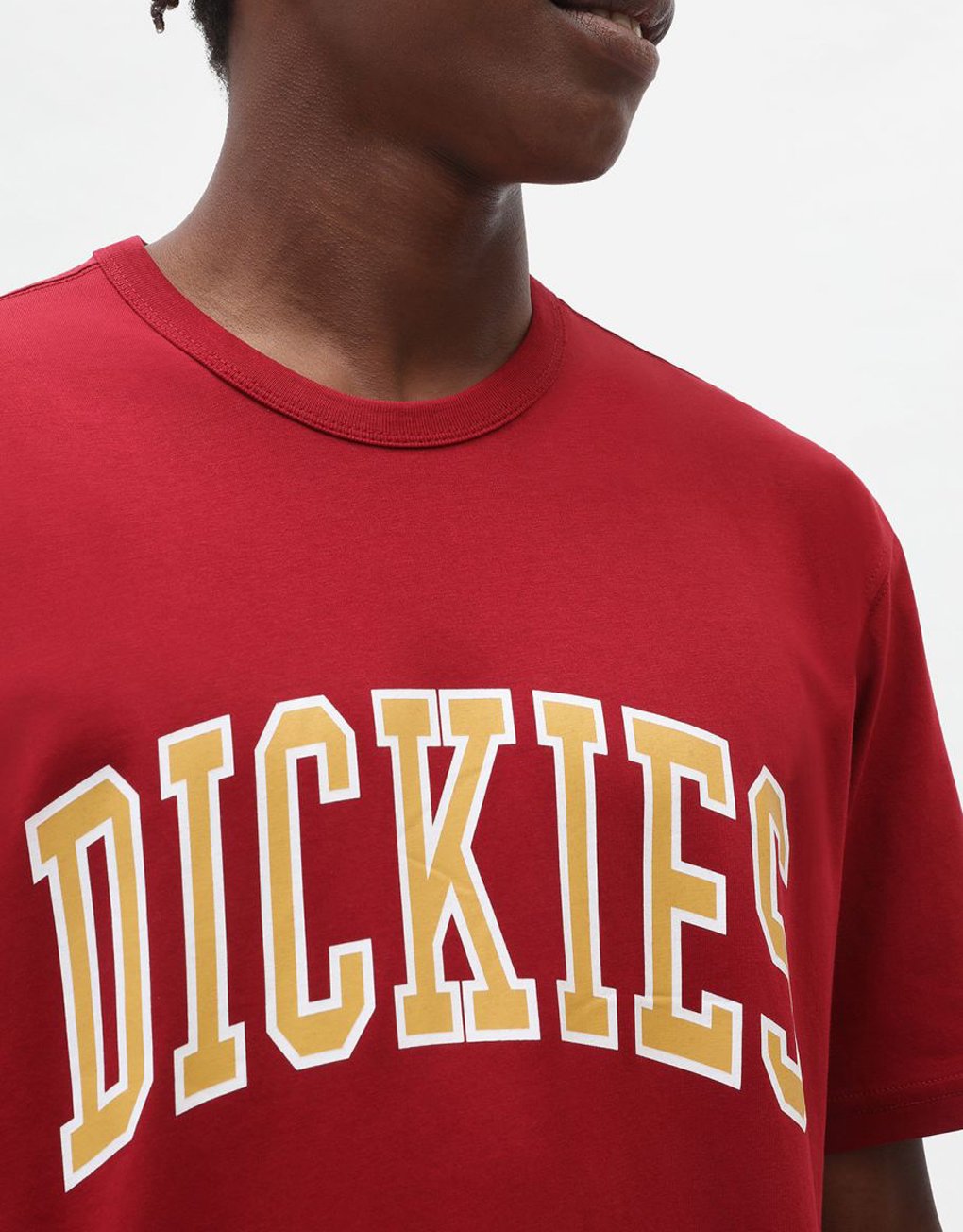 Dickies Aitkin T-Shirt Rabat