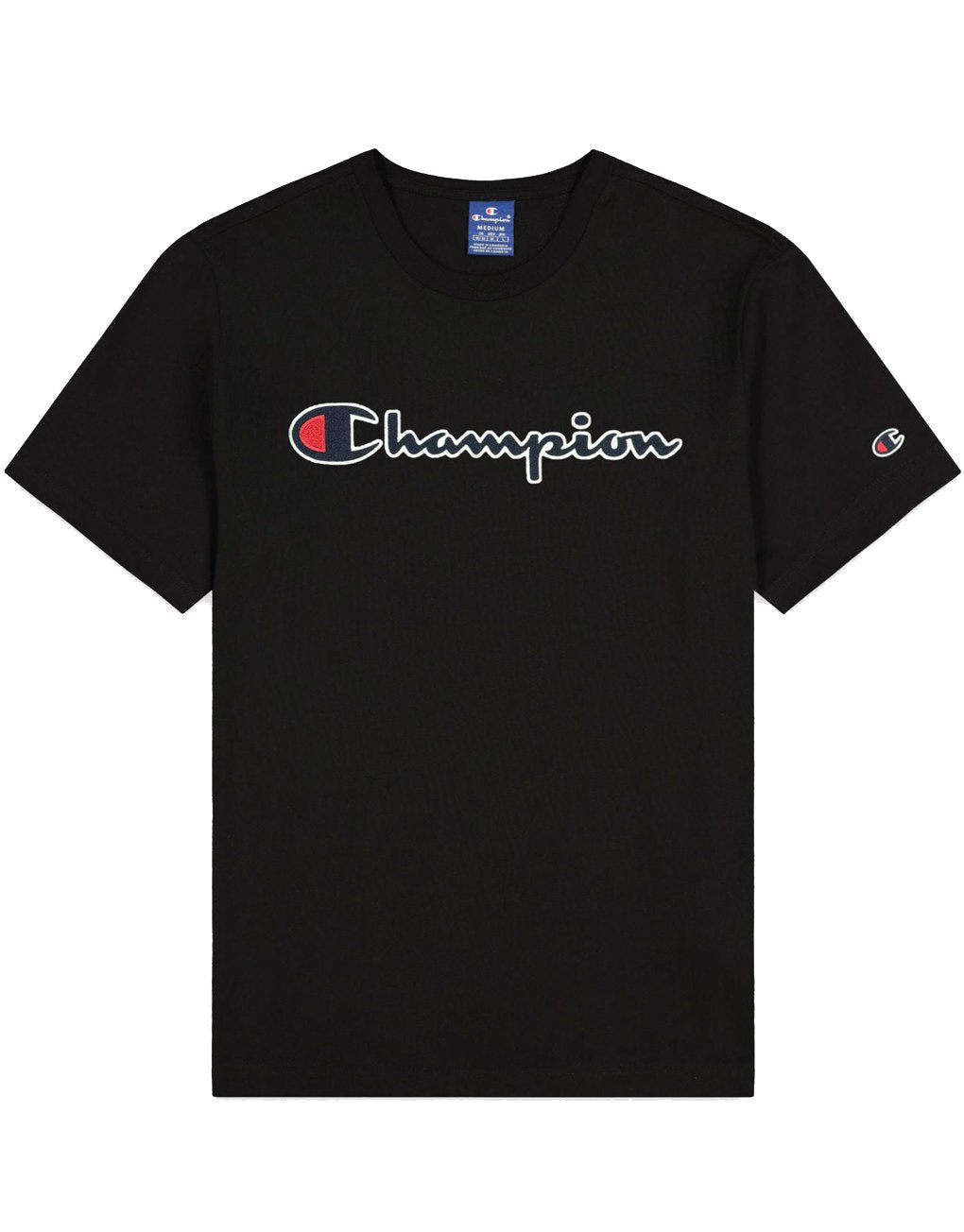 Champion Satin Stitch Script Logo T-Shirt
