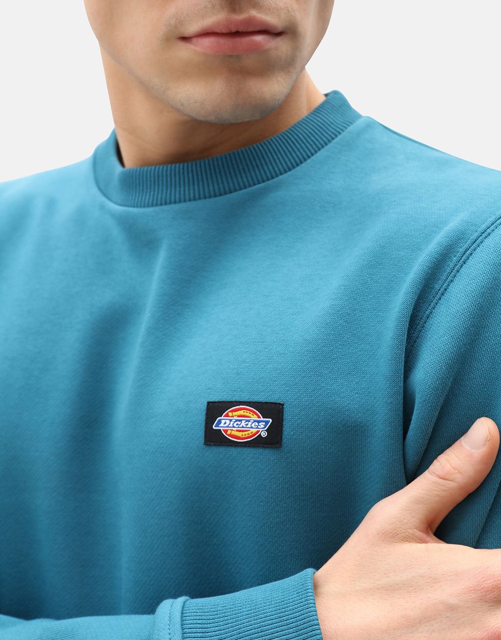 Dickies New Jersey Sweatshirt Online nu
