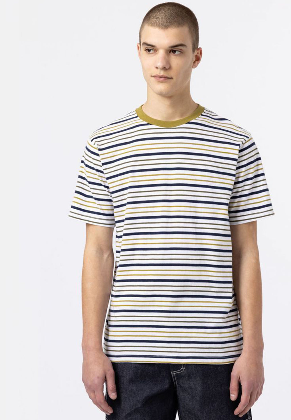 Dickies Bothell Stripe T-Shirt