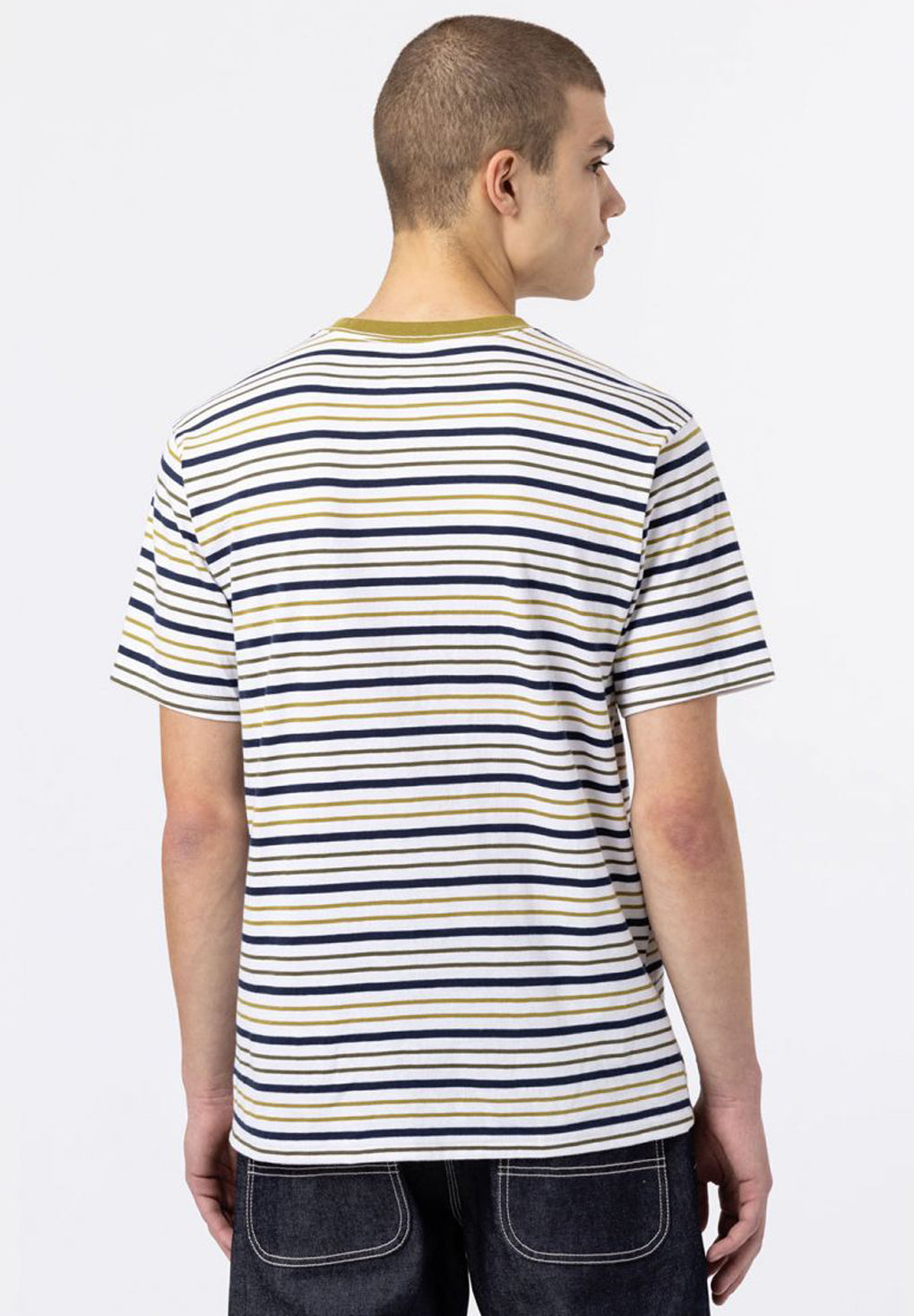 Dickies Bothell Stripe T-Shirt