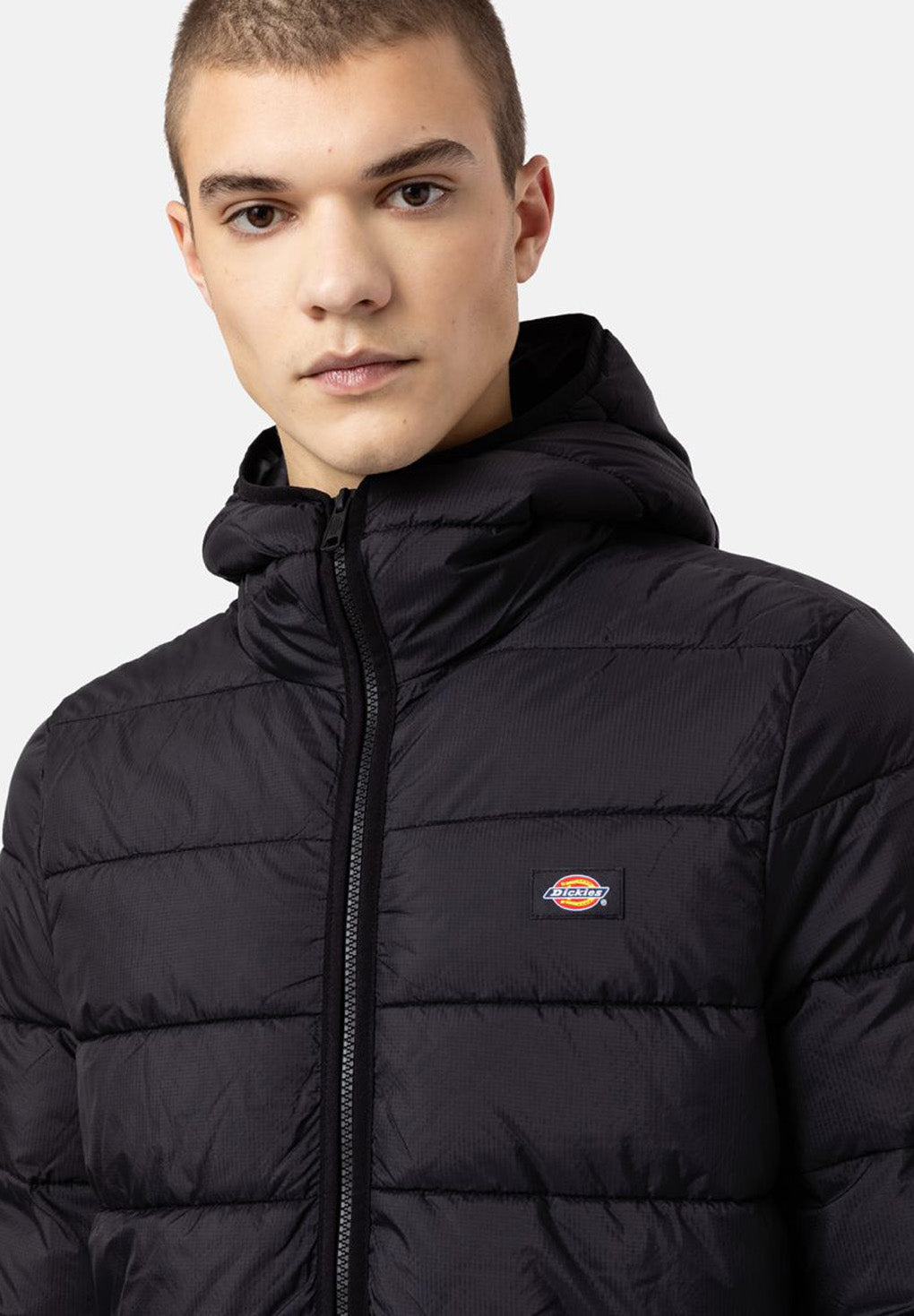 Dickies Waldenburg Mid Layer Jacket