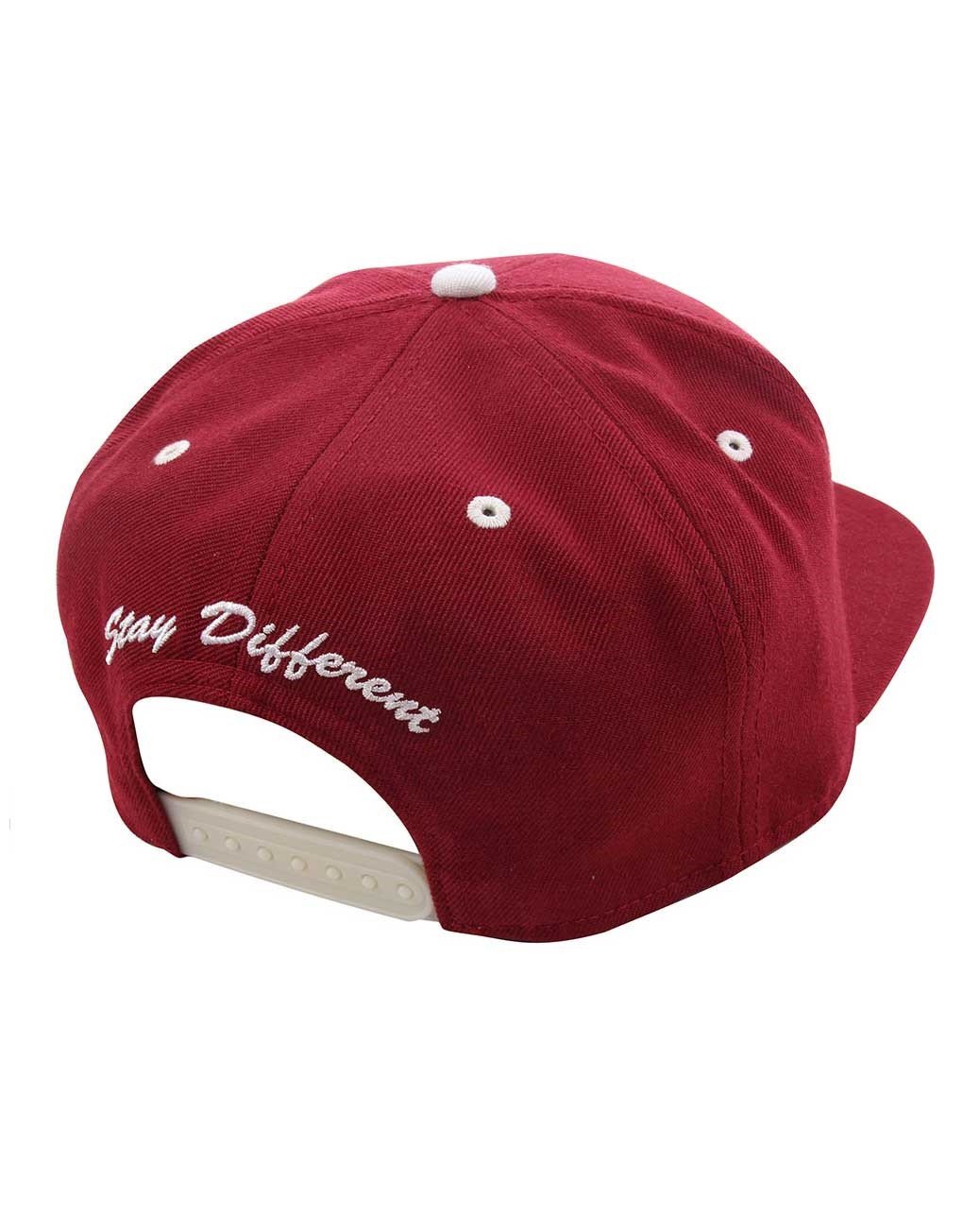 iriedaily-daily-flag-cap_1.jpg Iriedaily Daily Flag Cap Mode