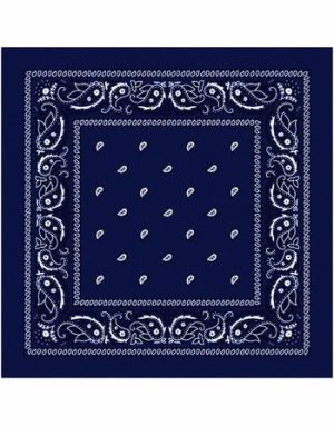 Paisley Bandana Navy