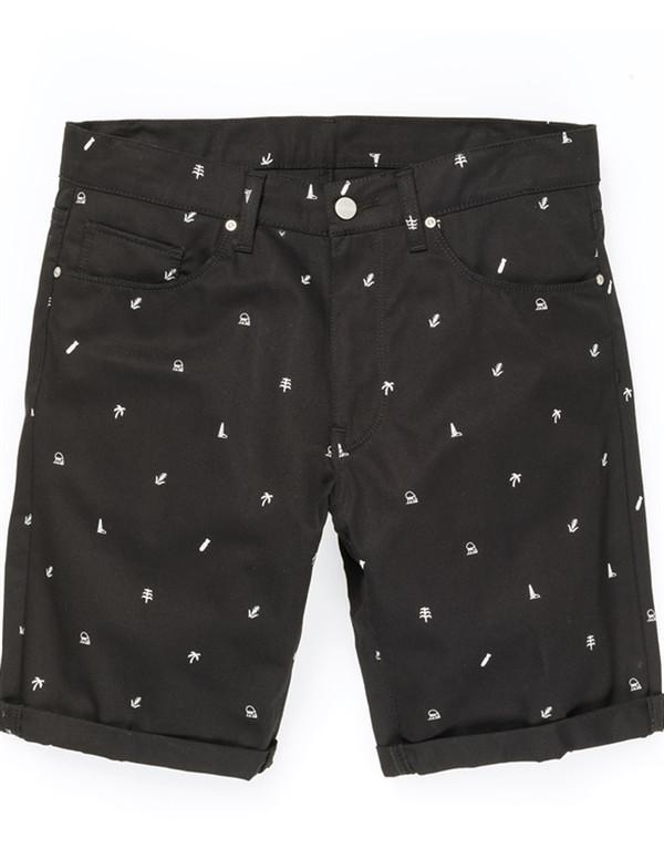 Carhartt Swell Shorts