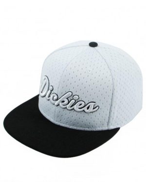 Dickies Eaton Park Snapback Cap