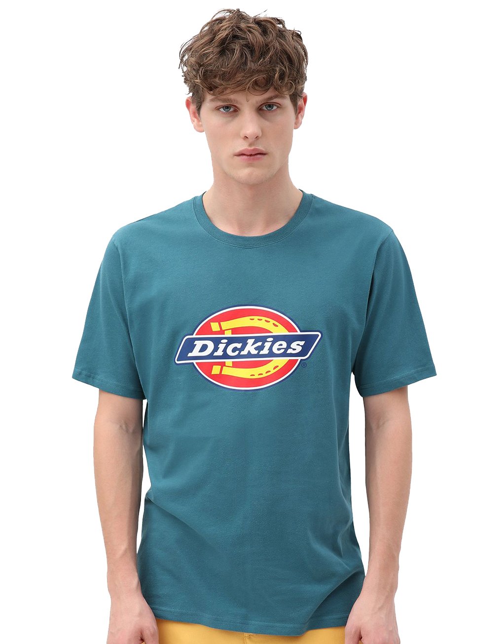 Dickies Horseshoe T-Shirt