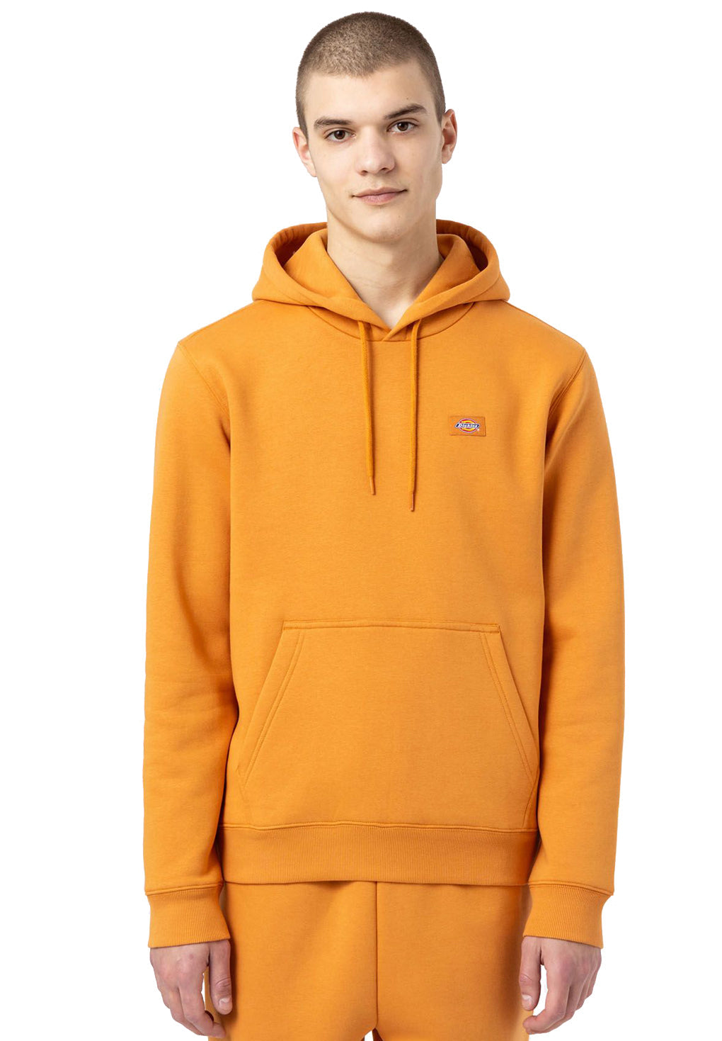 Dickies Oakport Hoodie Rabat