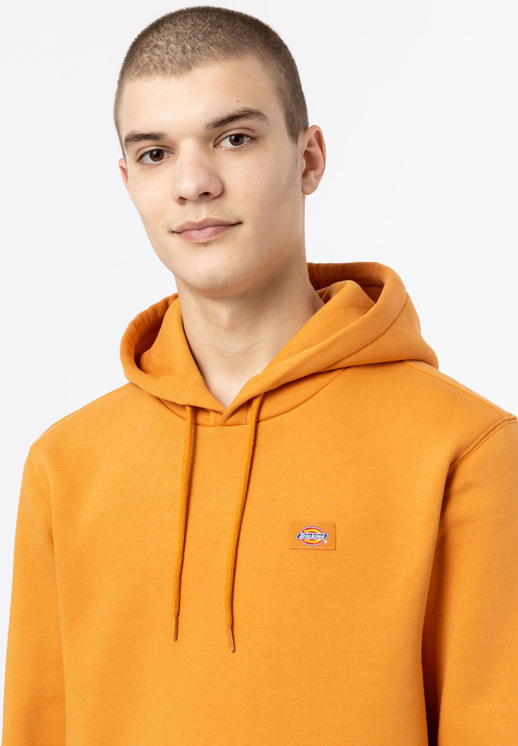 Dickies Oakport Hoodie Rabat