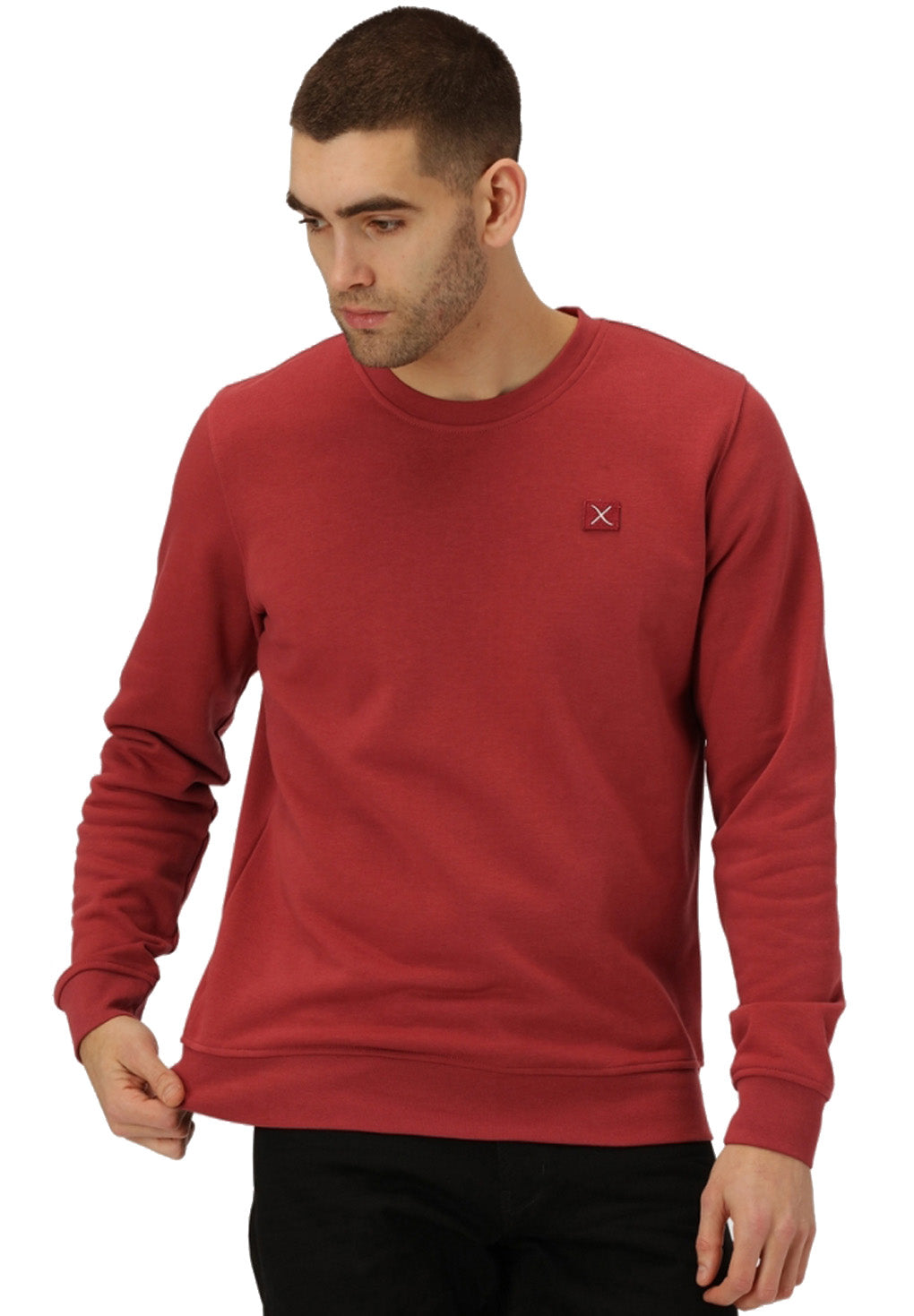Clean Cut Basic Organic Crew Online salg