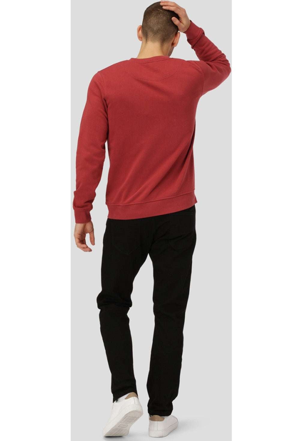 Clean Cut Basic Organic Crew Online salg