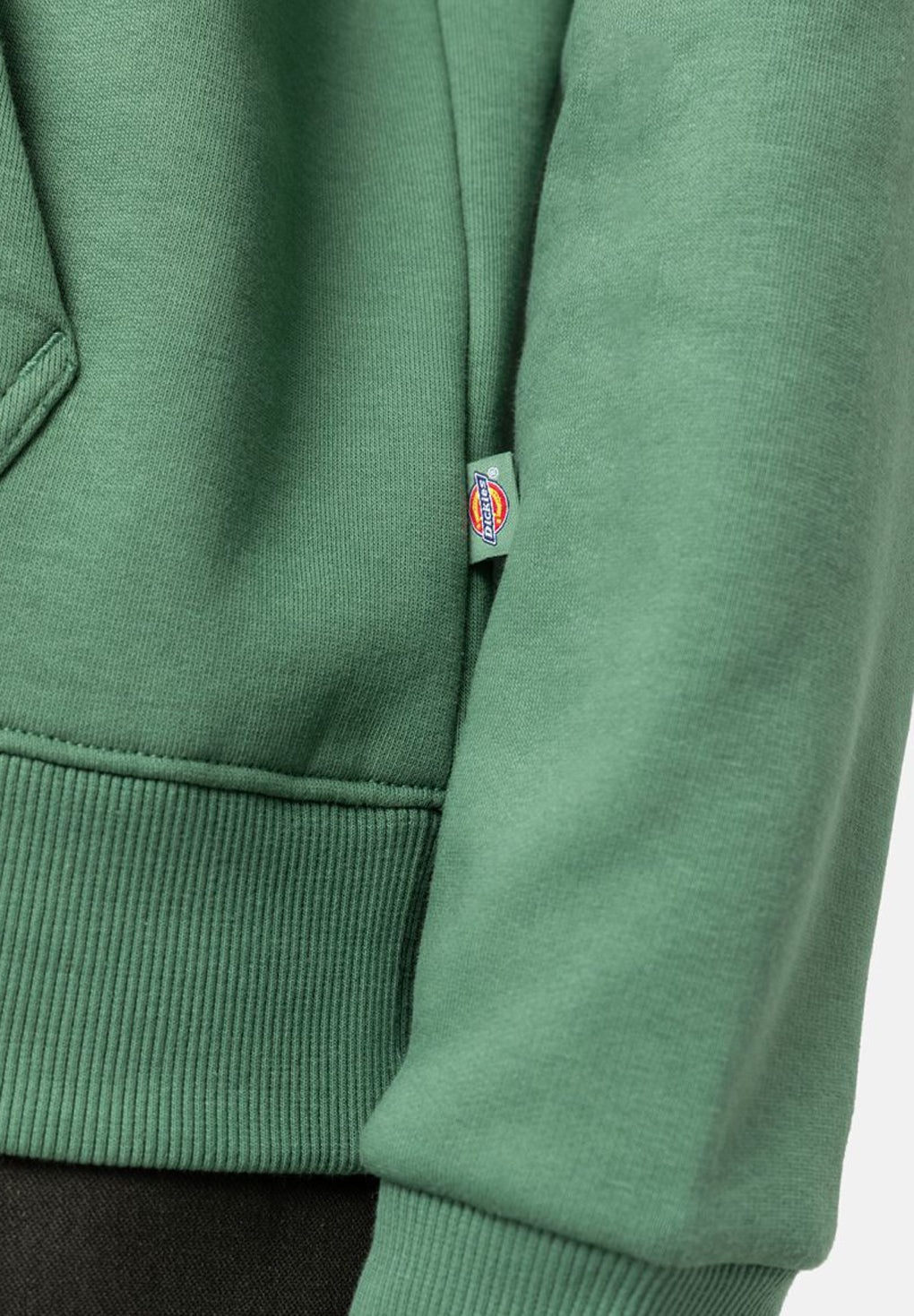 Dickies Icon Logo Hoodie