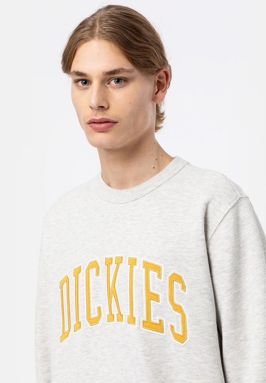Dickies Aitkin Sweatshirt