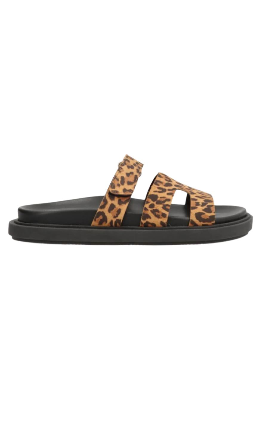 Phenumb Sko - Echo S - Suede Leopard