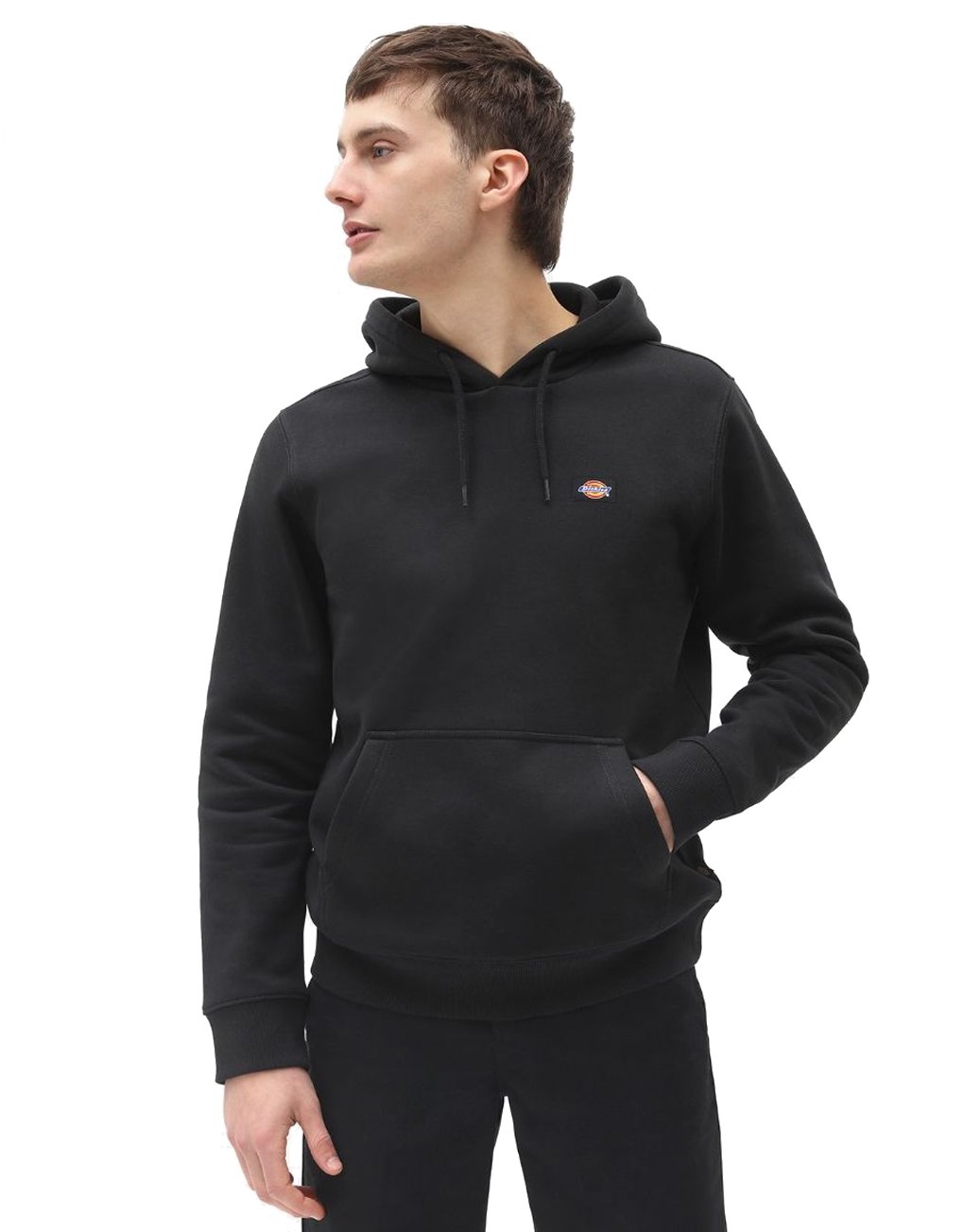 Dickies Oakport Hoodie