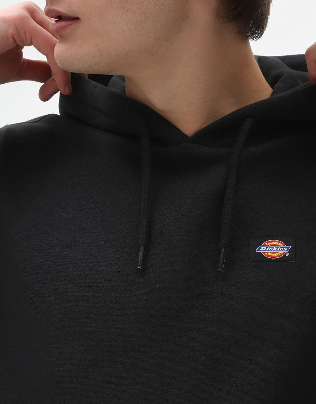 Dickies Oakport Hoodie
