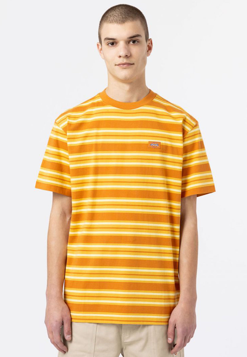 Dickies Lynnwood T-Shirt