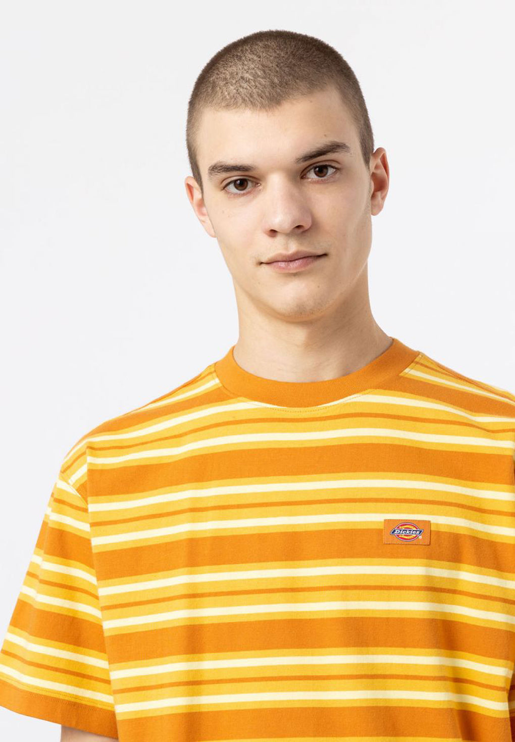 Dickies Lynnwood T-Shirt