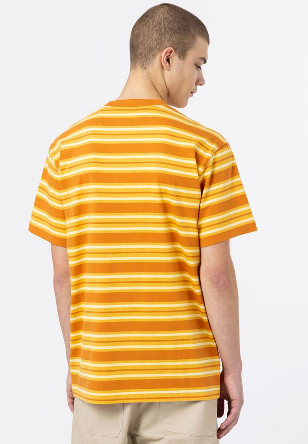 Dickies Lynnwood T-Shirt
