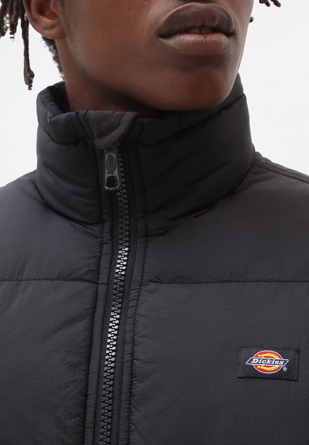 Dickies Waldenburg Jacket