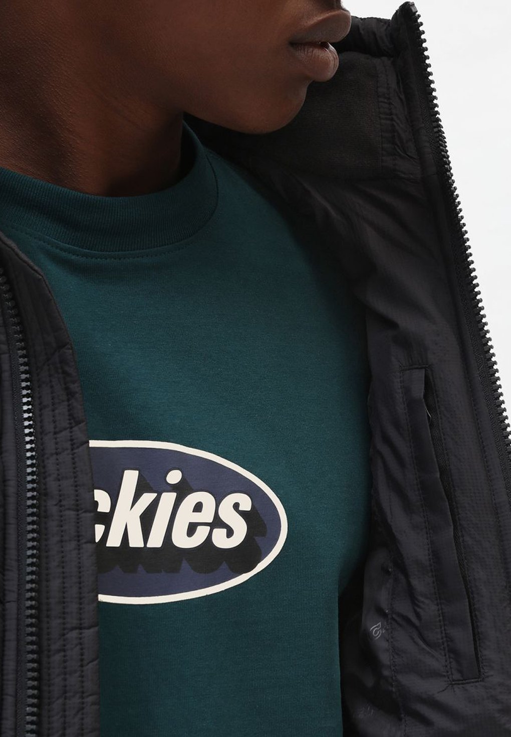 Dickies Waldenburg Jacket
