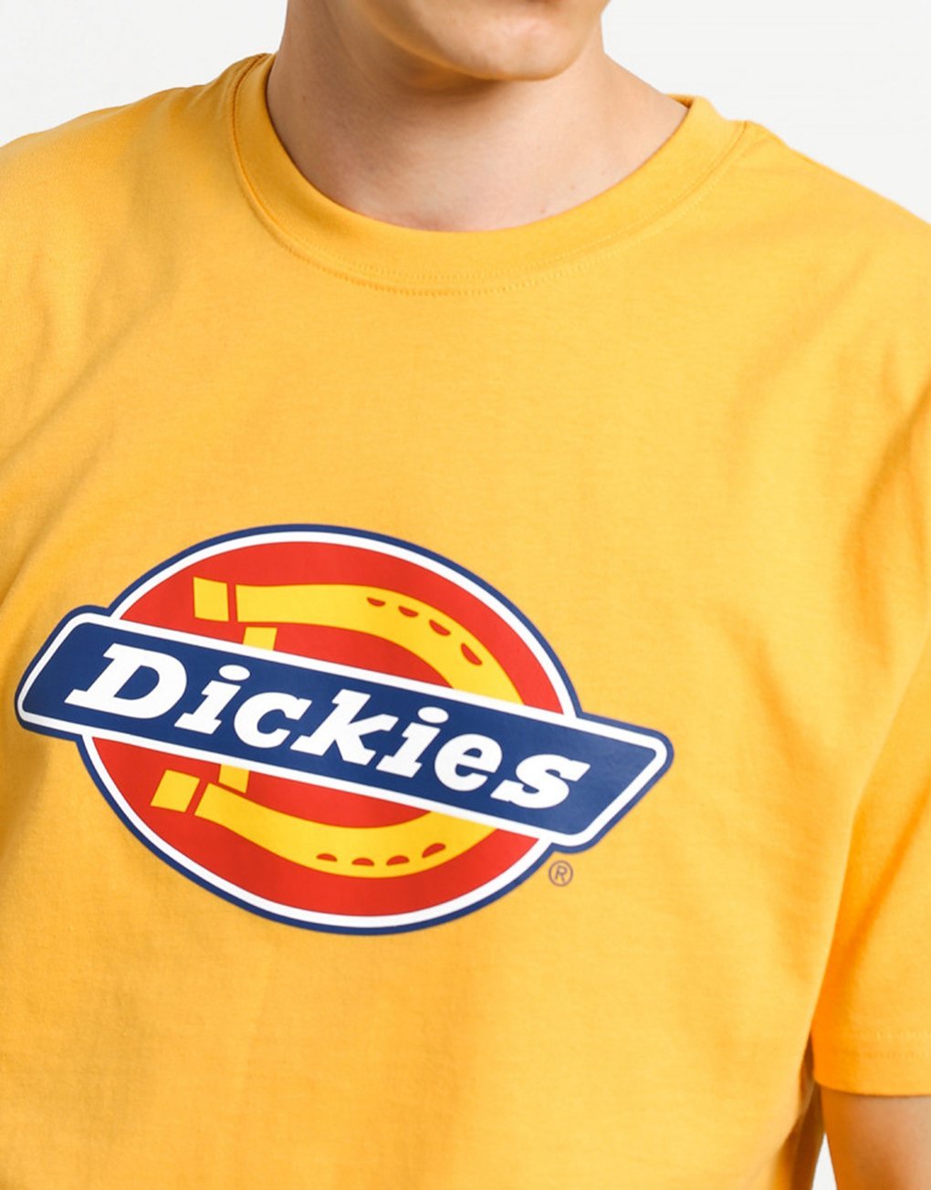 Dickies Horseshoe T-Shirt