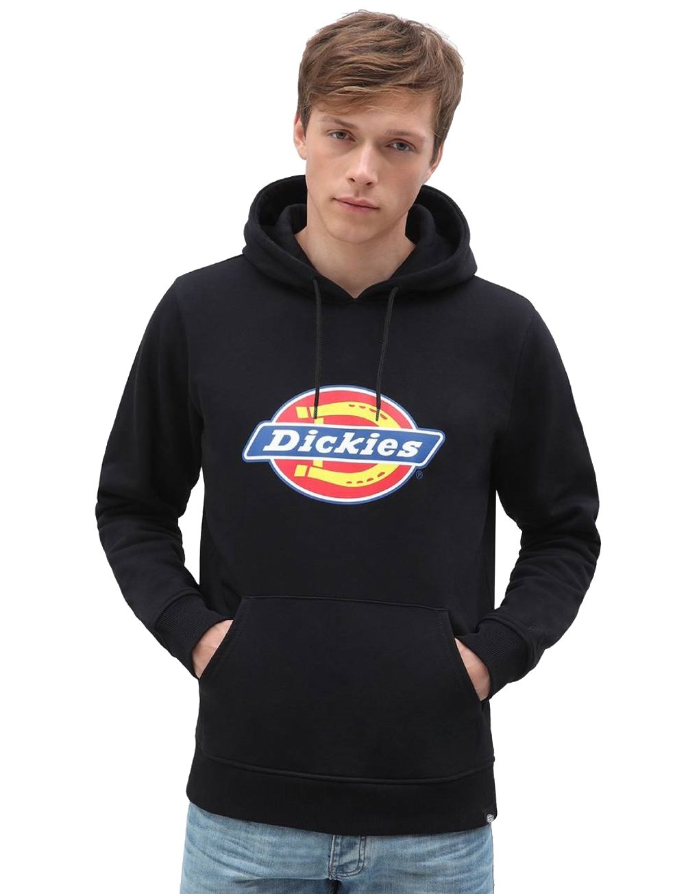 Dickies Icon Logo Hoodie