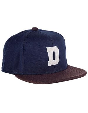 Dickies Richvale Cap